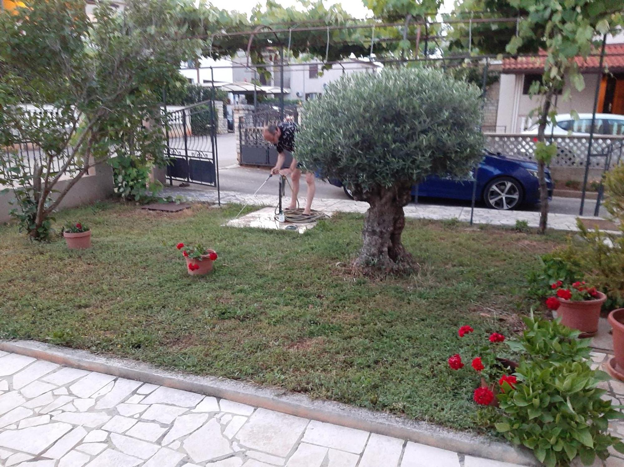 Apartment Stefania โรวีน ห้อง รูปภาพ
